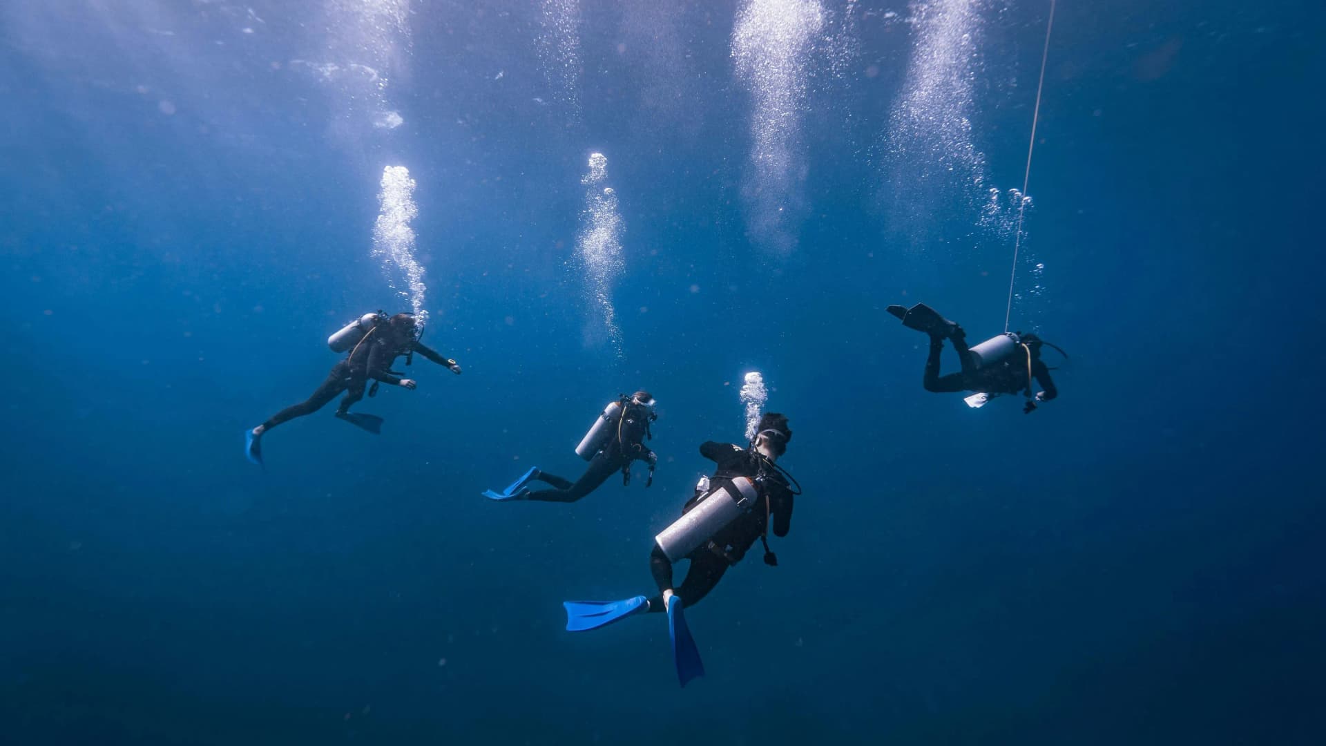 Beginner Dive Gear Guide for UK Divers