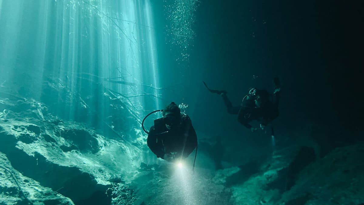 Shearwater Peregrine Review 2026 | The Recreational Diver's Standard
