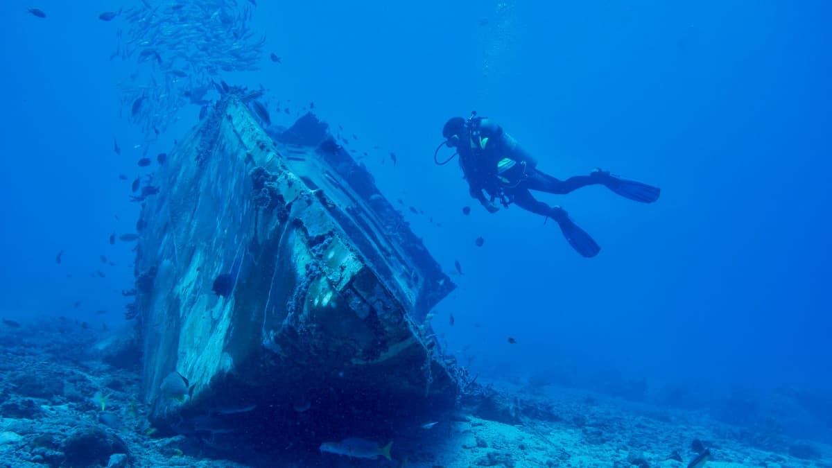 Dive Watch vs Computer 2026 | Which Do You Need?