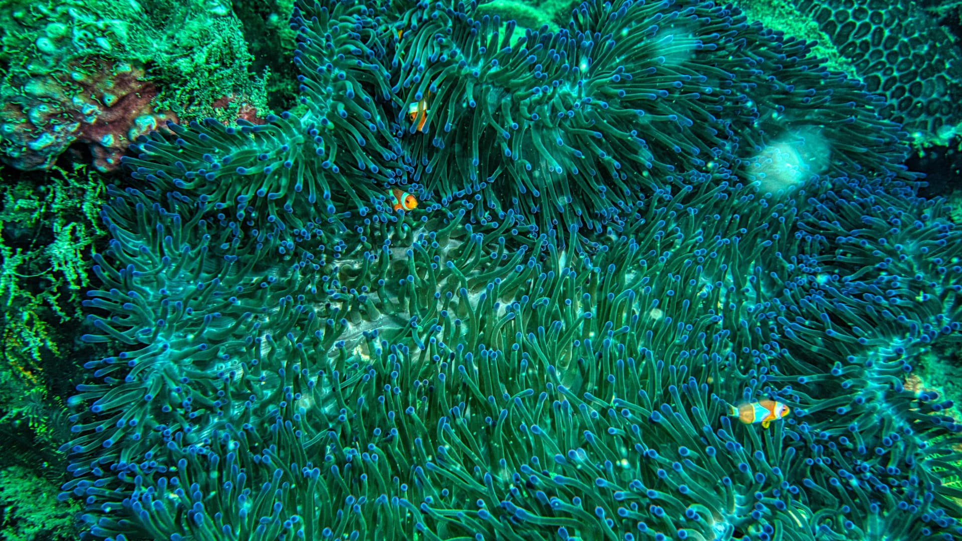 Dive gear guides illustration