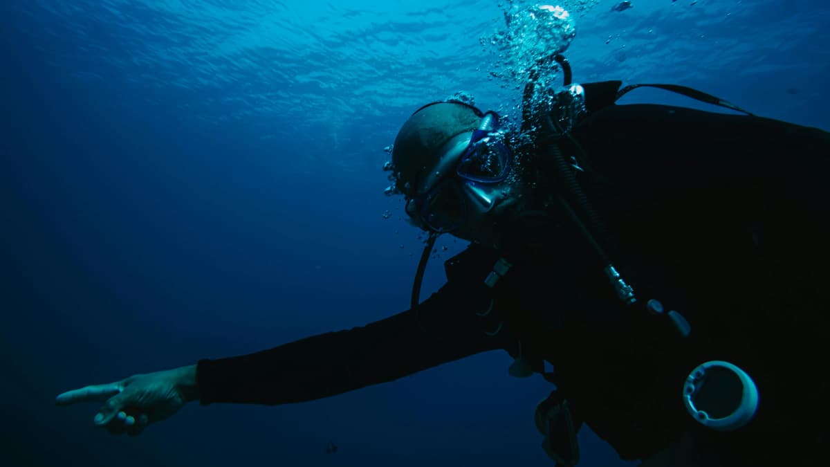 Illustration for Wetsuit Selection for UK Diving