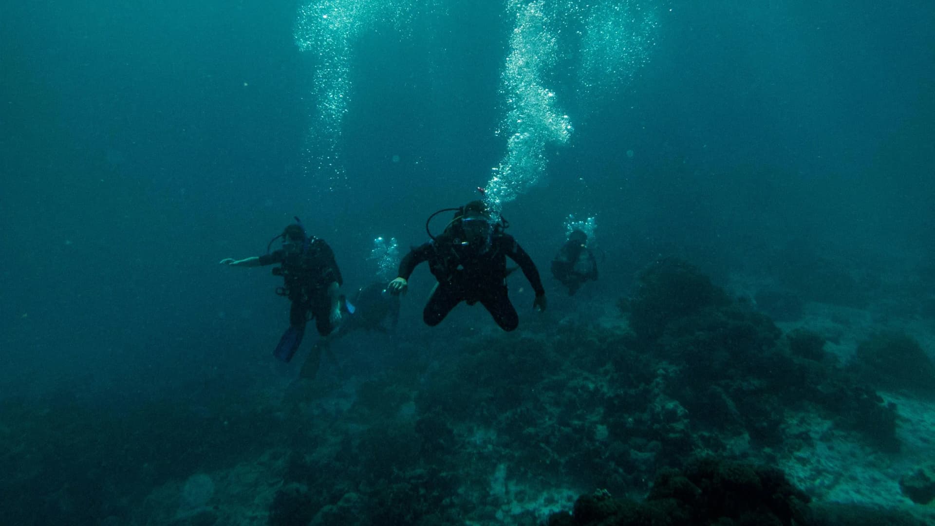 Best Dive Regulators for UK Diving (2026)