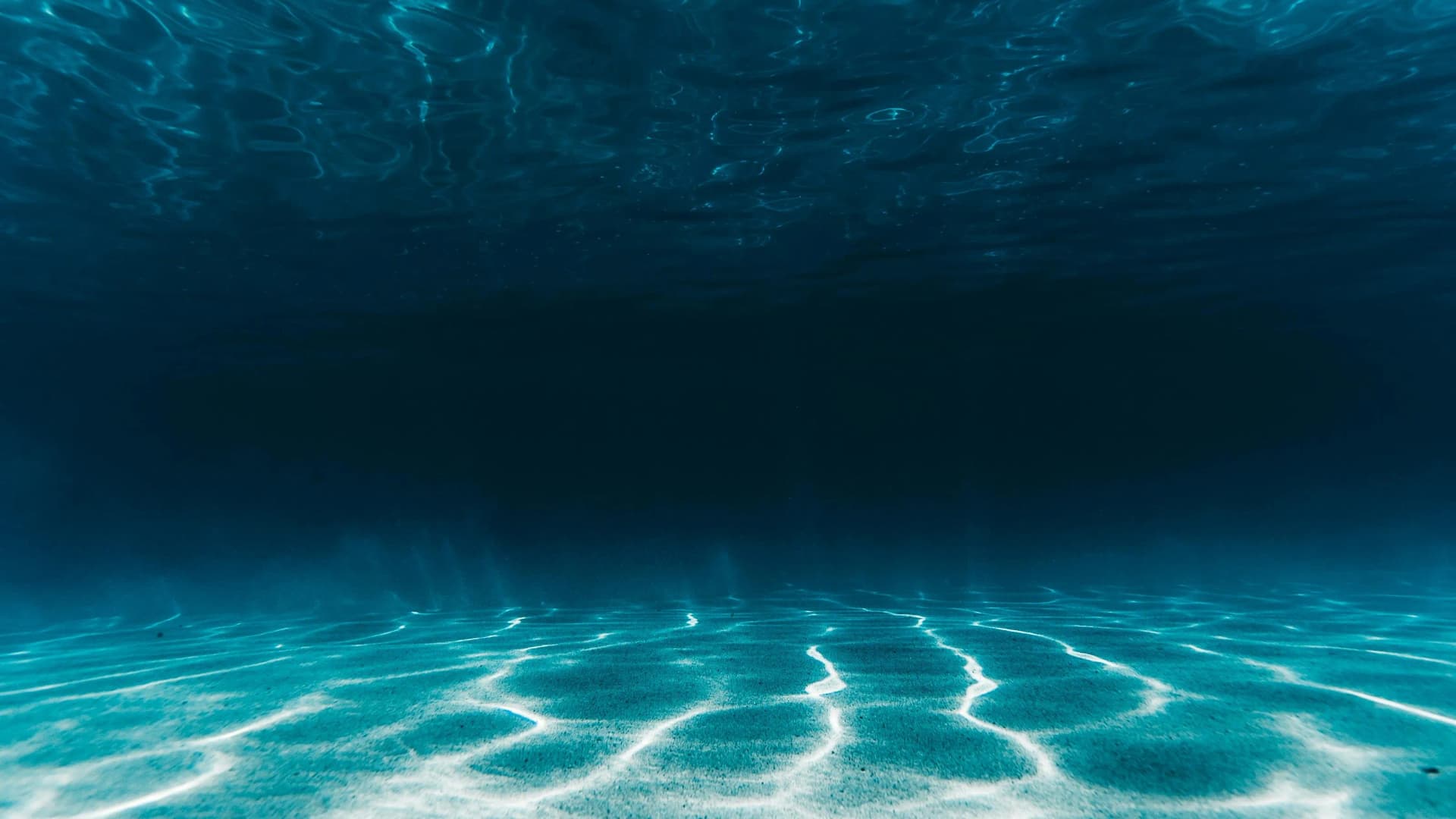 Wetsuit vs Drysuit for UK Diving